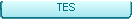 TES