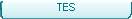 TES