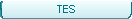 TES